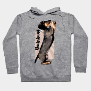 Wirehaired  Dachshund puppy Hoodie